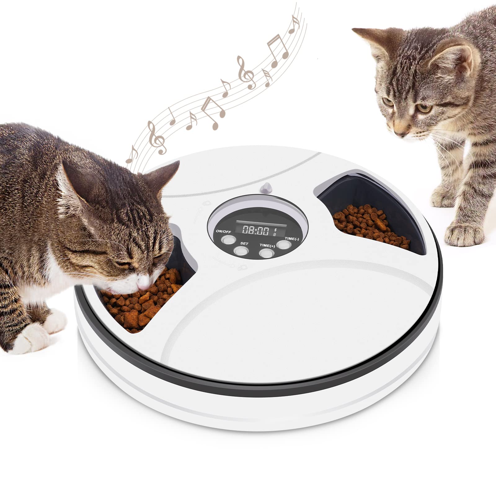 Cat lying next to automated feeder timer