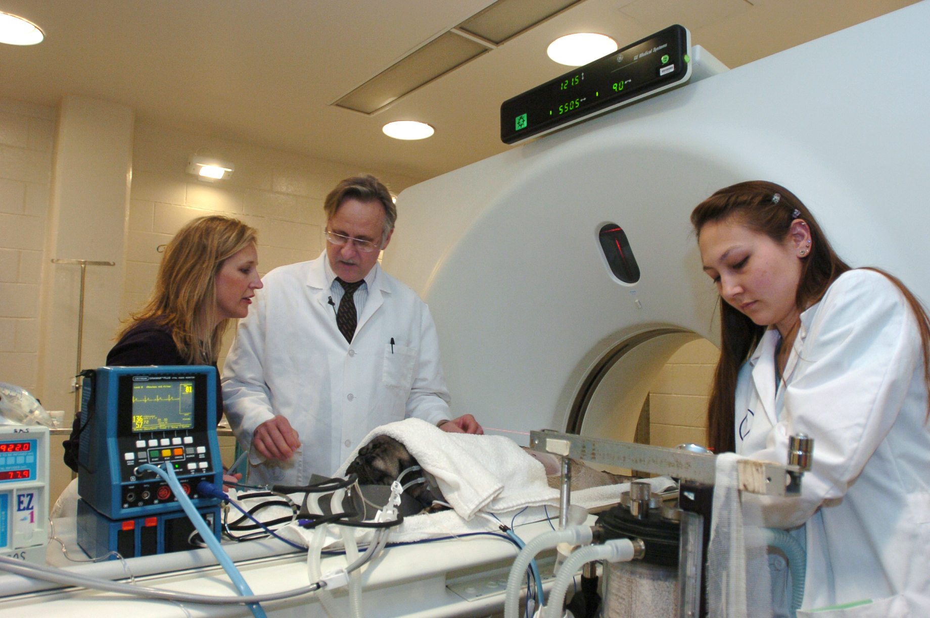 Image of researchers performing a cat scan at vet clinic