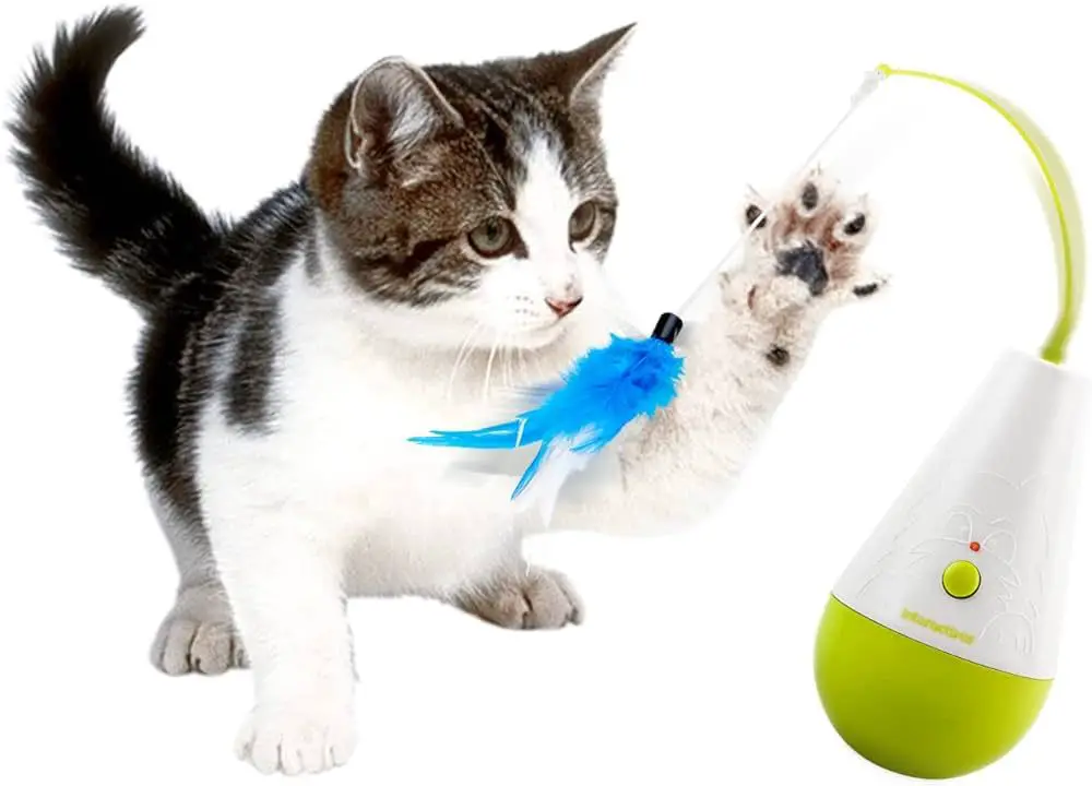 a cat pawing at a dangling feather toy