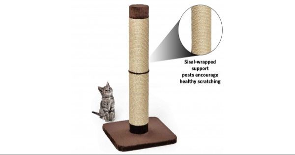 a cat scratching on a tall sisal scratching post