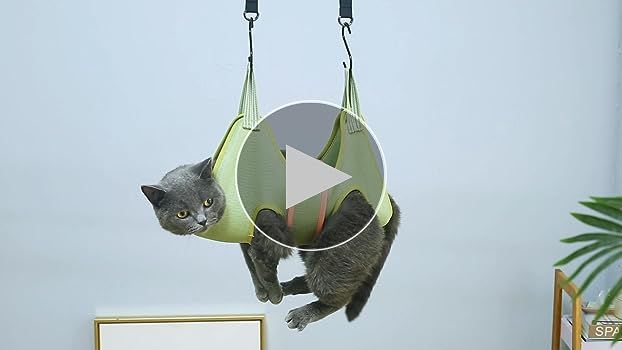 a cat twisting its body while suspended in a grooming hammock