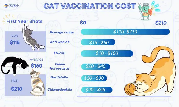 a chart comparing the costs of feline vaccines versus treating preventable diseases