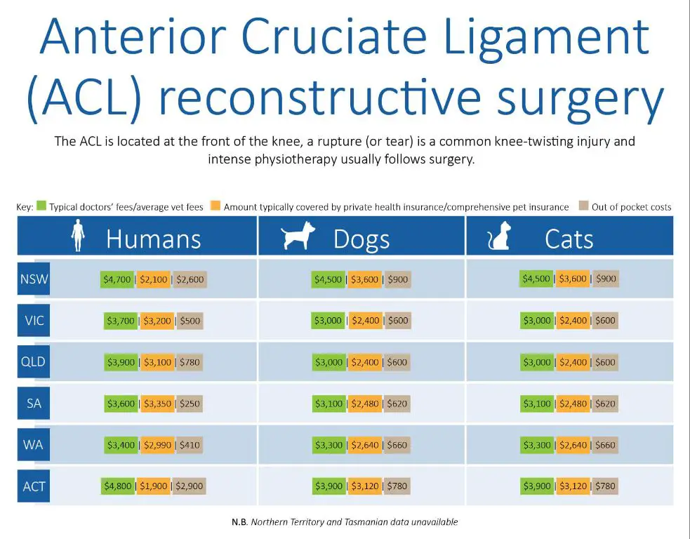 a cost comparison chart for cataract surgery with and without insurance