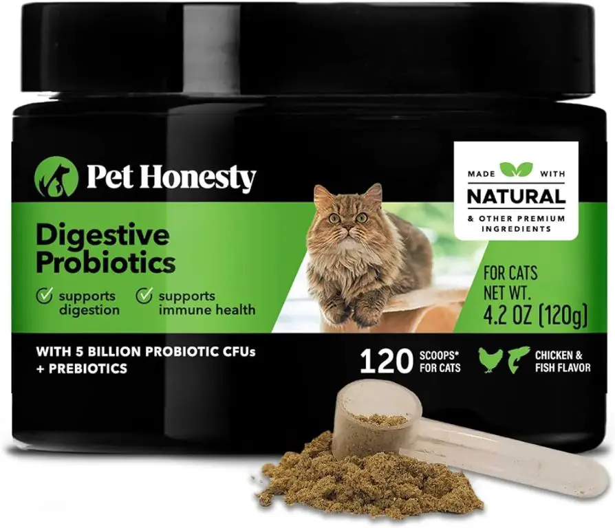 a dog being given a probiotic supplement to improve digestive health.