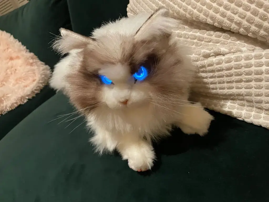 a futuristic animatronic cat robot