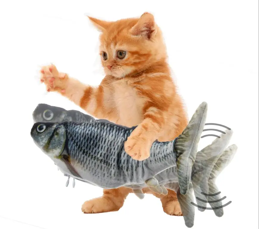 a gemini cat batting at a toy fish
