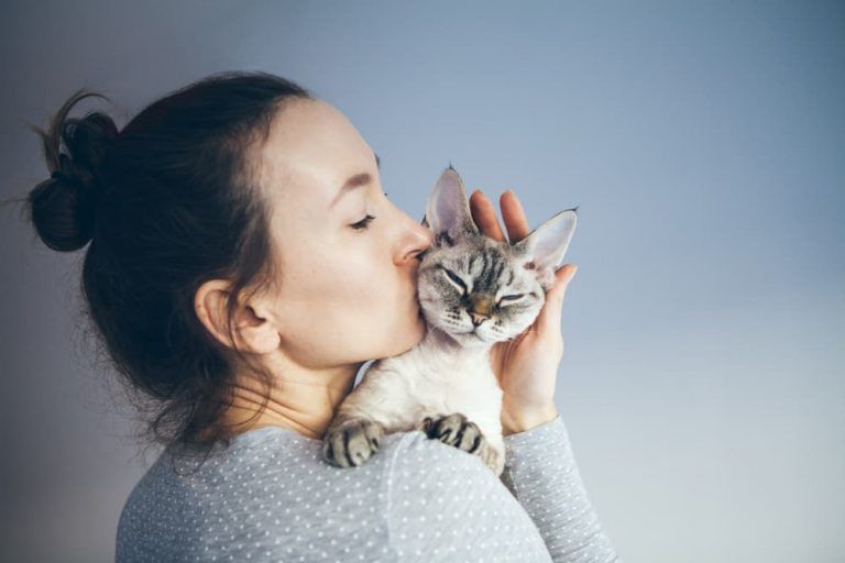 a person kissing their cat on the top of its head