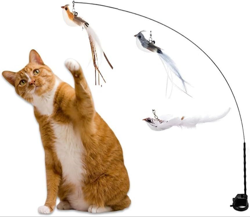 a person playing with a cat using a feather wand toy inside