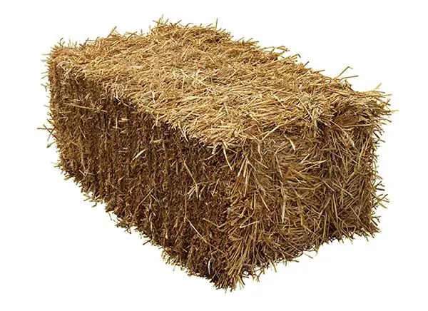 a pile of golden straw suitable for cat house insulation