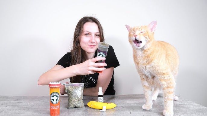 a woman holding a cup of catnip tea.