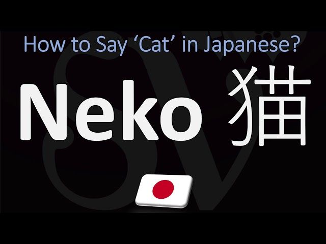 a youtube video titled how to pronounce cat in japanese