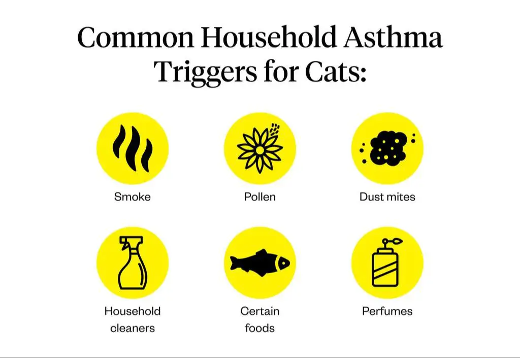 cat allergens triggering asthma