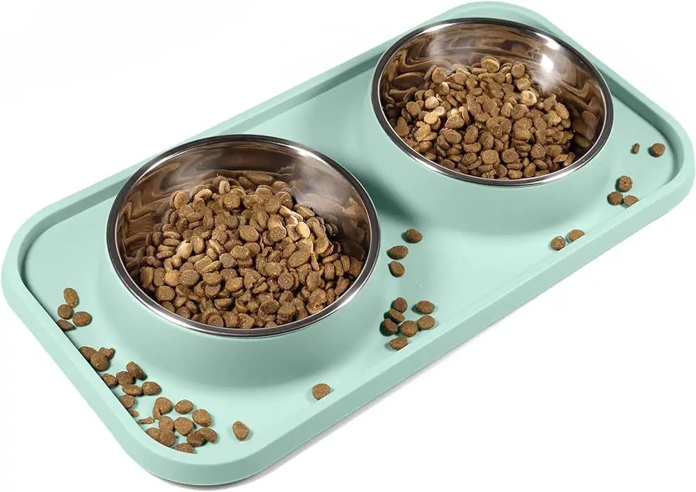 cat and dog food bowls