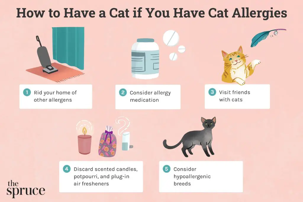 cat dander causes allergies