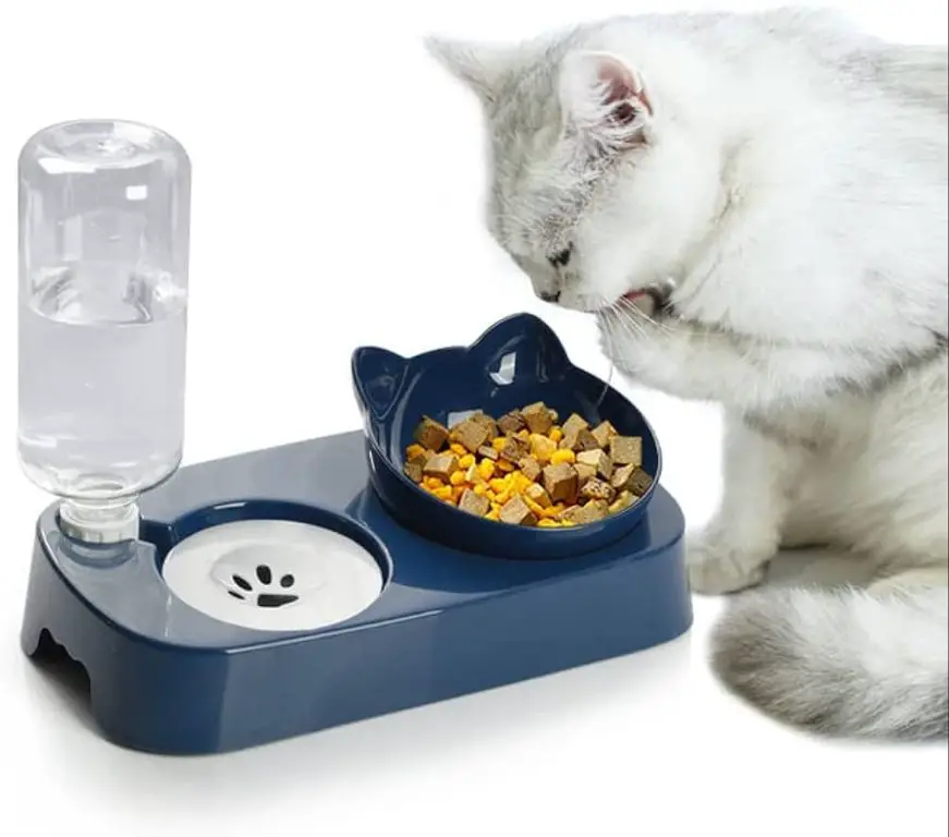 cat food and water bowls