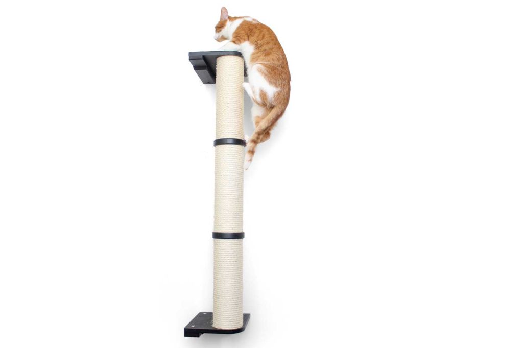 cat toys and climbing structures