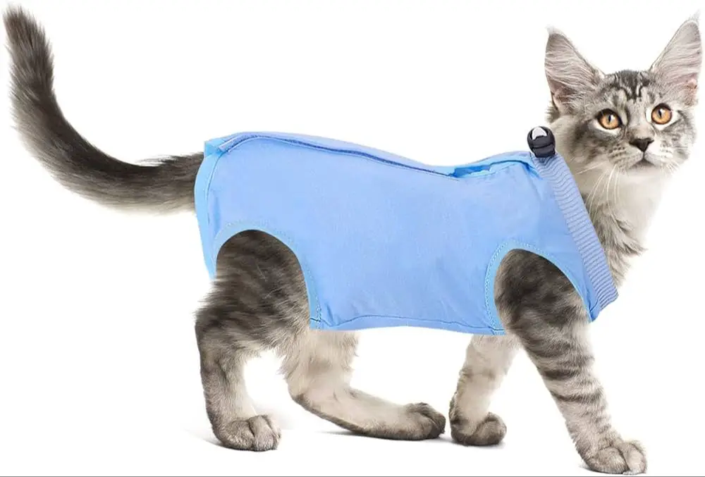 cat wearing a full body recovery suit