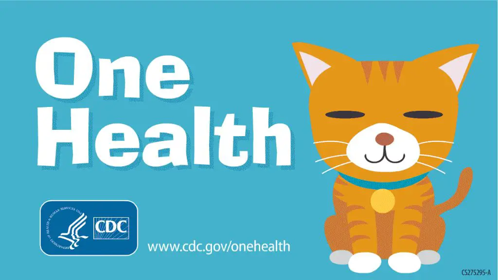 cdc public health logo