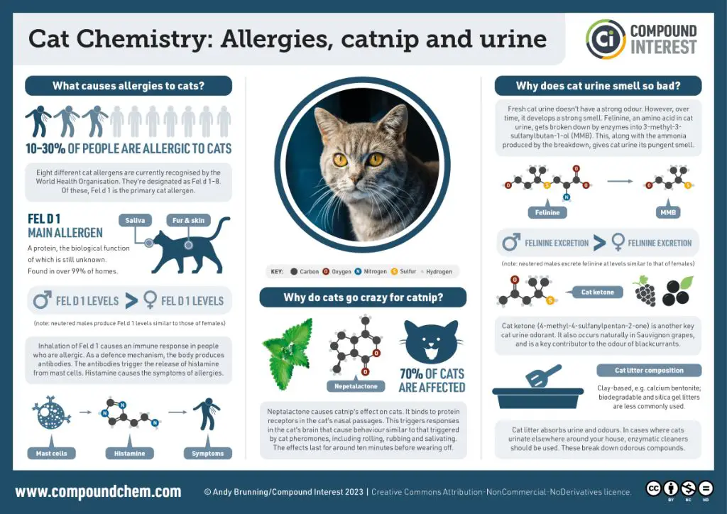 chemical composition of cat urine