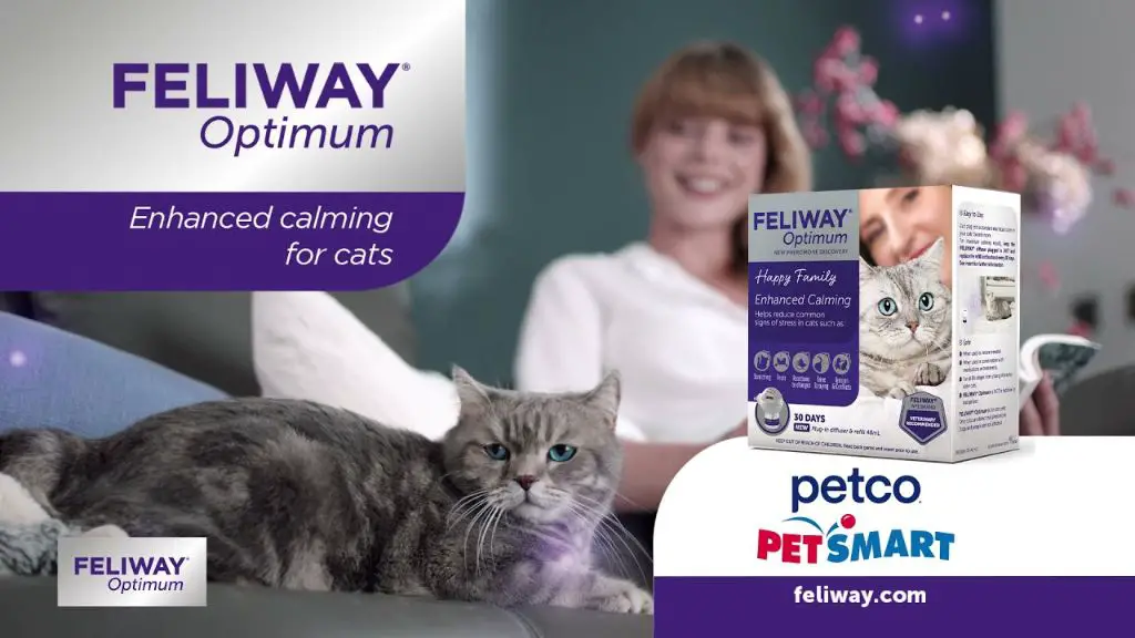 commercial products claim cat pheromones benefit humans.