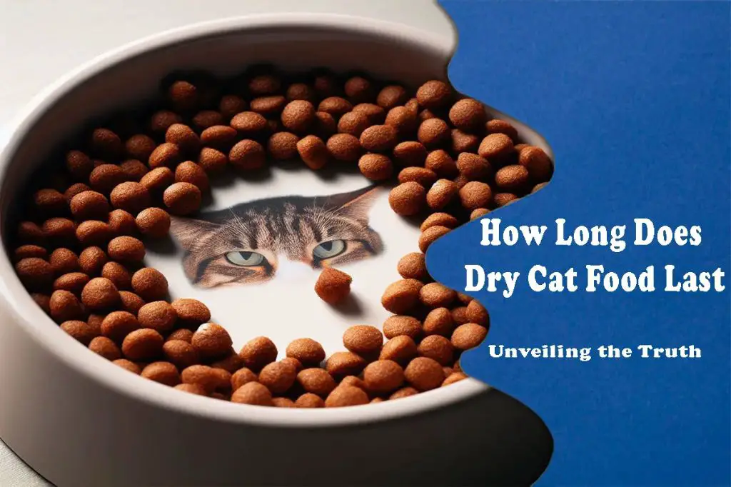 conclusion on dry cat food shelf life