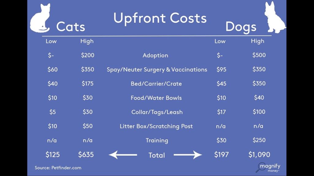 cost comparison of owning a cat vs dog