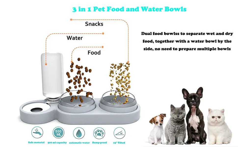 dog and cat food bowls side by side