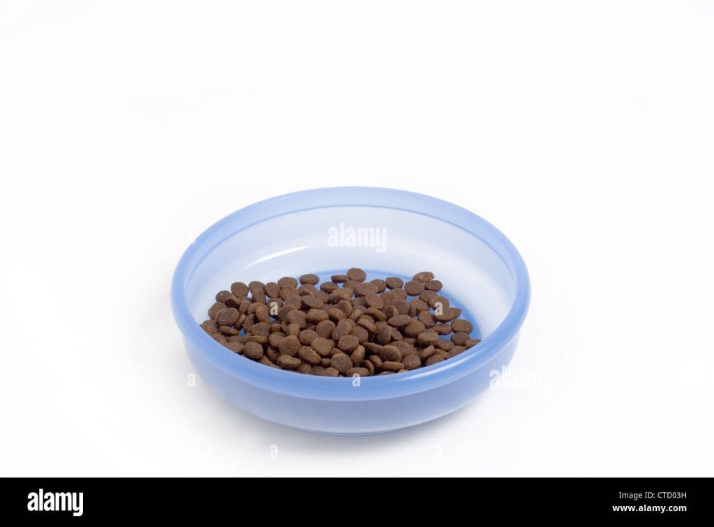 dry cat food kibbles in a bowl.