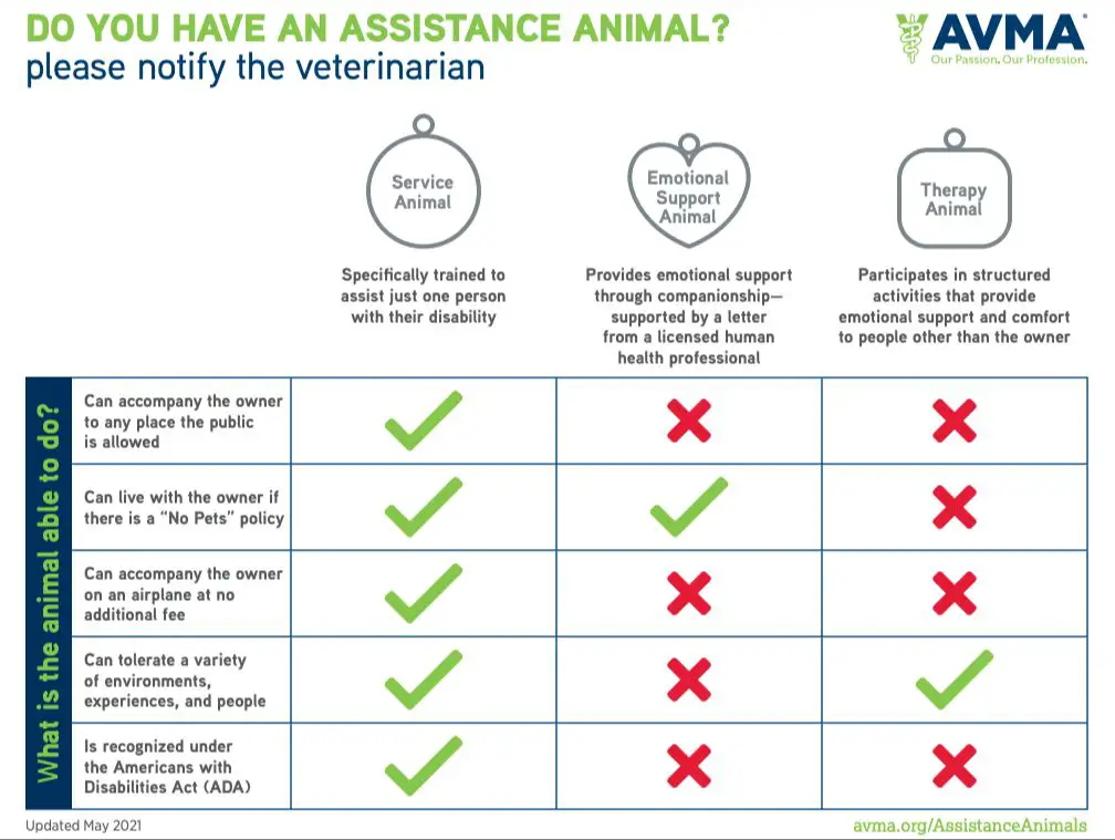 esas differ from service animals in training and access rights.