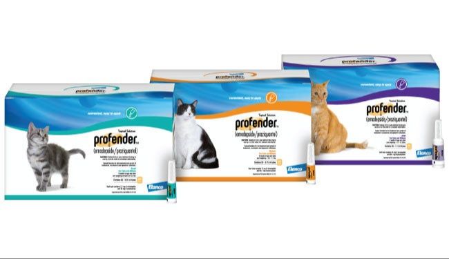 expired cat dewormer medication