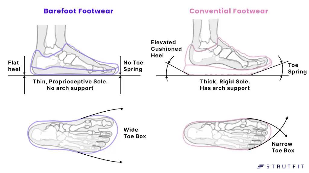 factors like width, arch height and materials impact how cat & jack shoes fit.