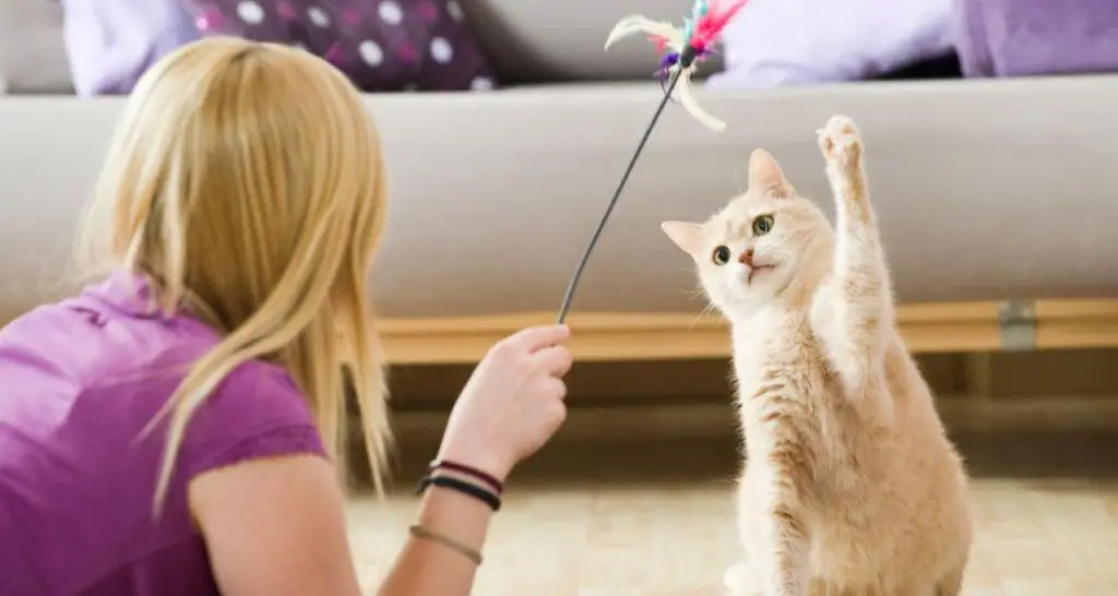 having to care for a pet can encourage more physical activity.