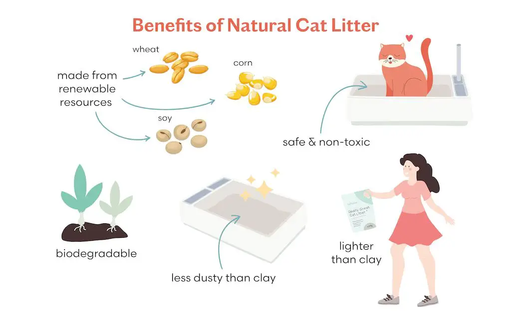 infographic on safer alternative cat litters
