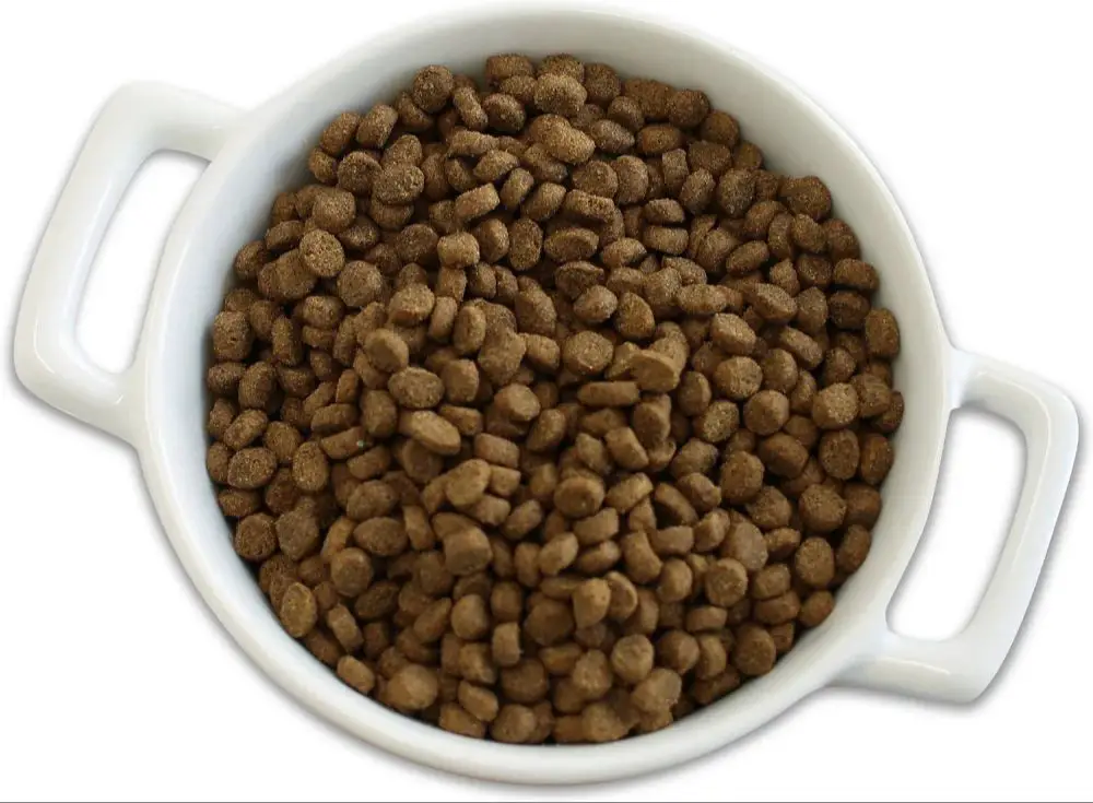 ingredients in dry cat food