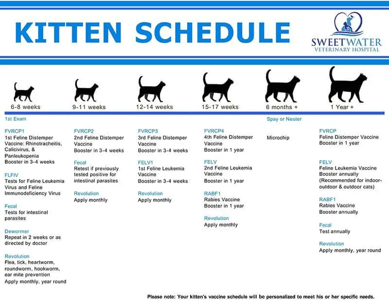 kitten vaccination schedule