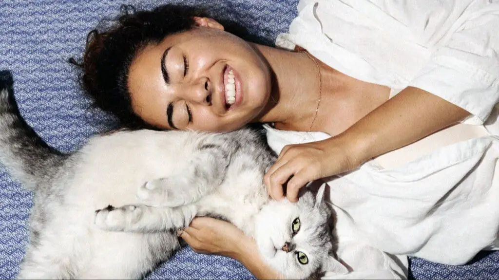 limited evidence suggests cat pheromones may subtly affect humans.