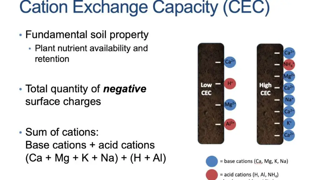 measuring cation exchange capacity