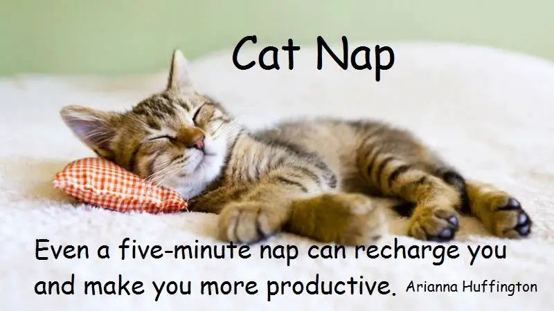 napping allows the brain to rest and recharge
