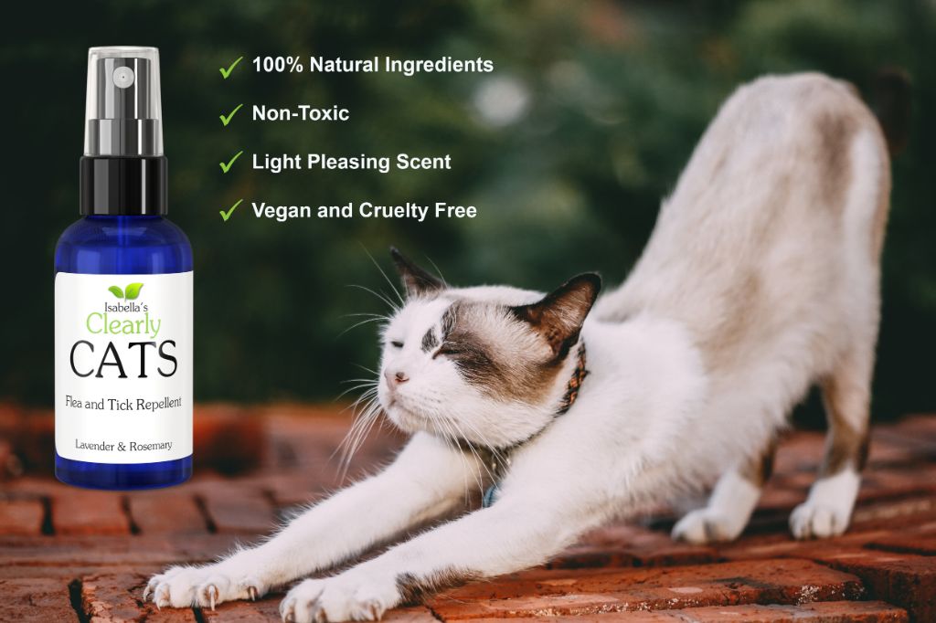 natural cat repellents