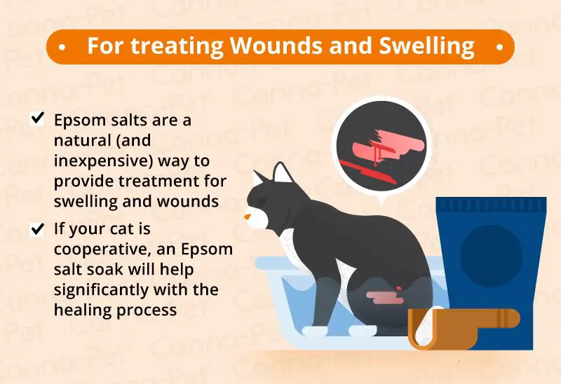 natural home remedies for cat skin issues