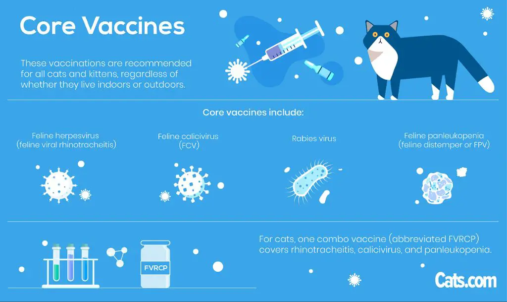 non-core cat vaccines