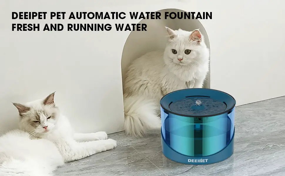 person shopping for cat fountain