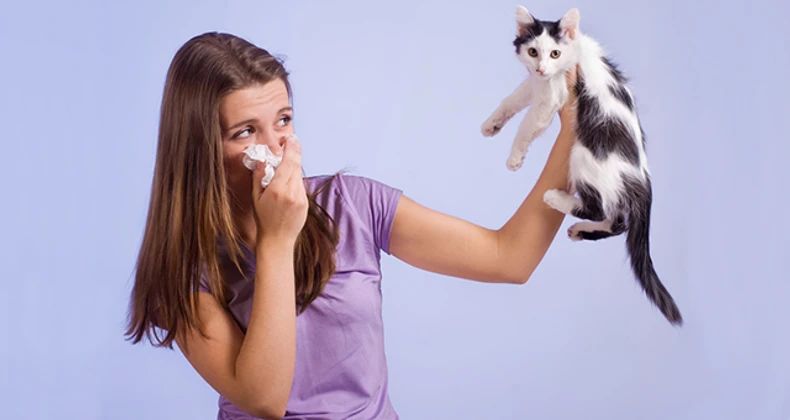 person sneezing due to cat allergies