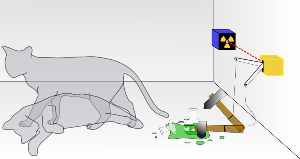 physics behind a cat's ability to scratch glass