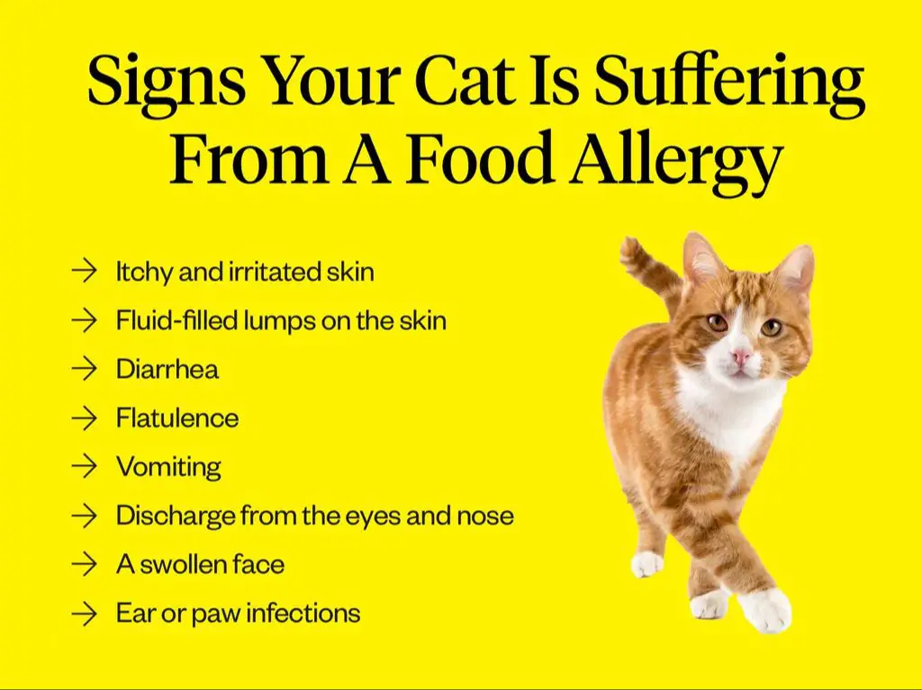 proteins cause cat allergies