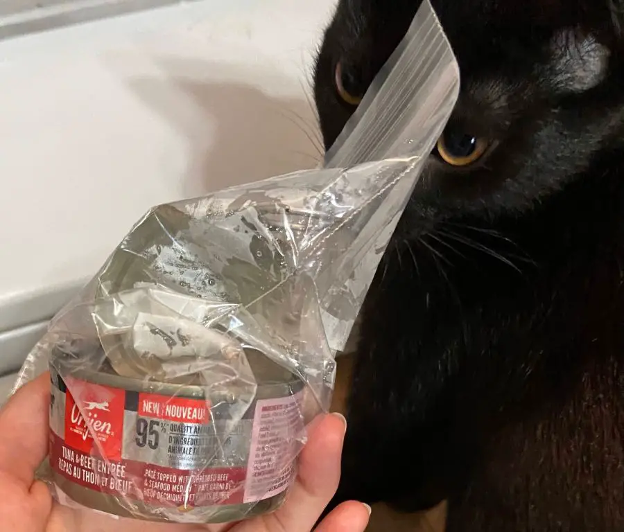 refrigerator keeping opened canned cat food fresh