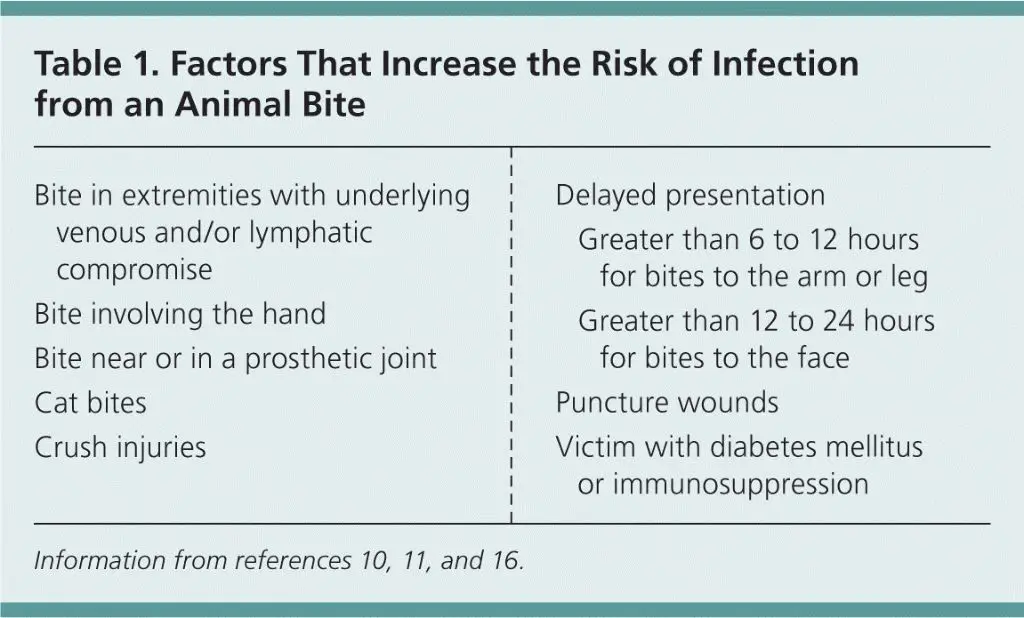 risk factors for cat bite infections
