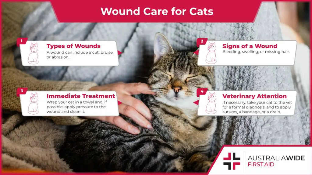 see a vet for significant wounds or trauma.