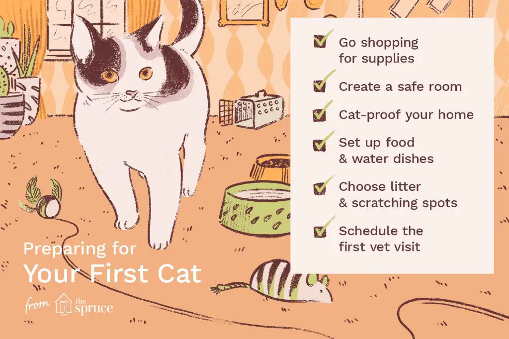 service cat etiquette tips for owners