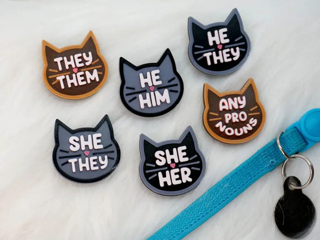 using he/she pronouns for cats
